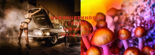 метадон Алексин