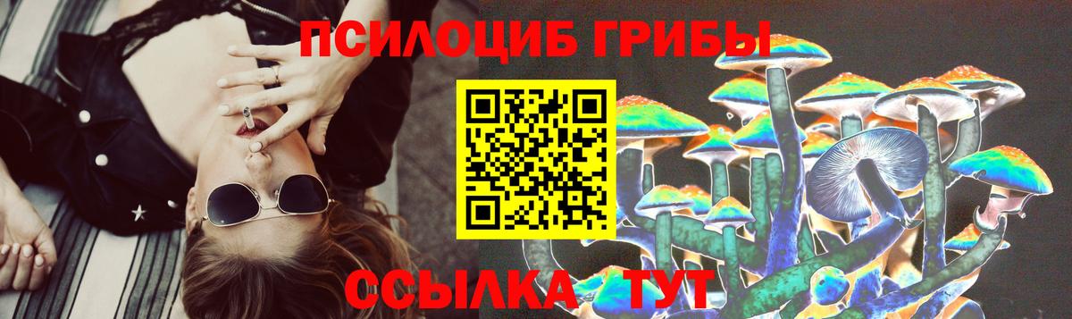 Псилоцибиновые грибы GOLDEN TEACHER Джанкой